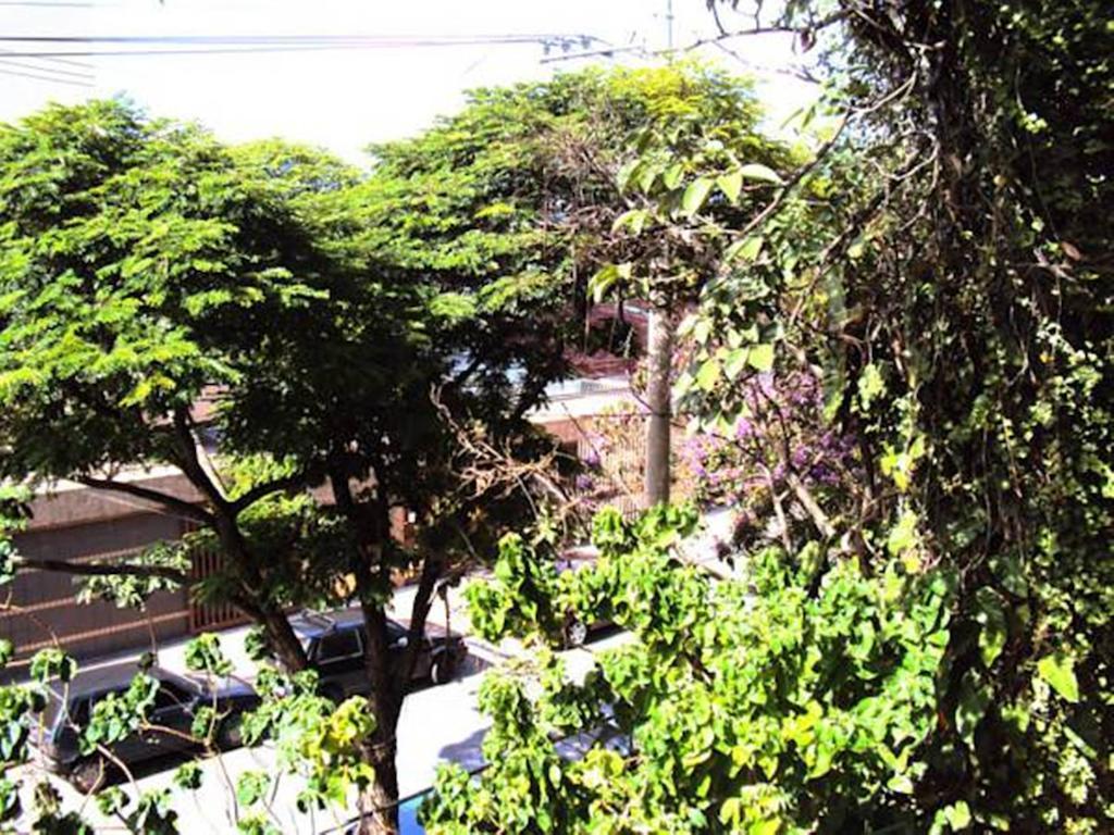 Rock! And Hostel Belo Horizonte Ngoại thất bức ảnh